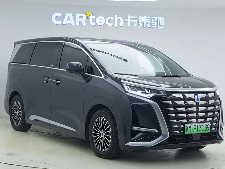 Фото 2 - Denza D9