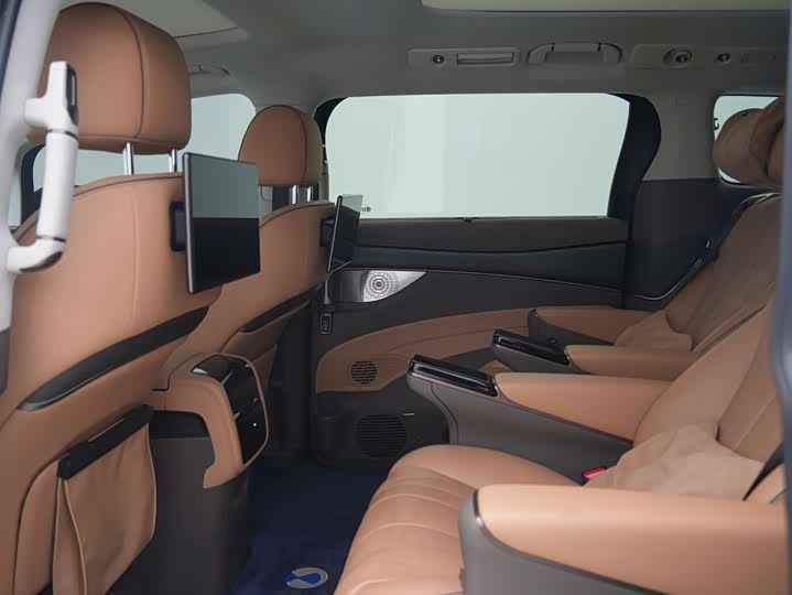 Фото 22 - Denza D9