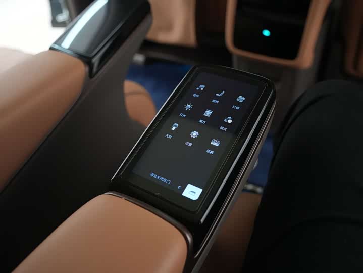 Фото 25 - Denza D9