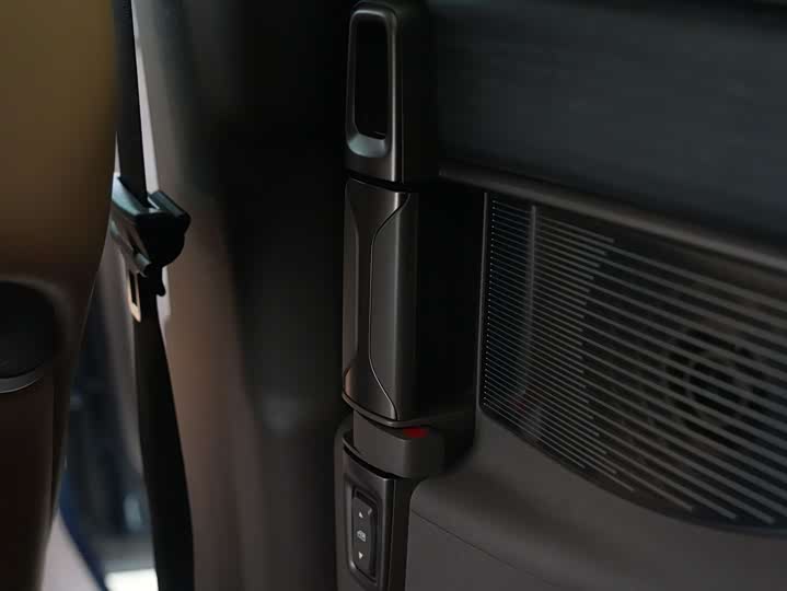 Фото 26 - Denza D9