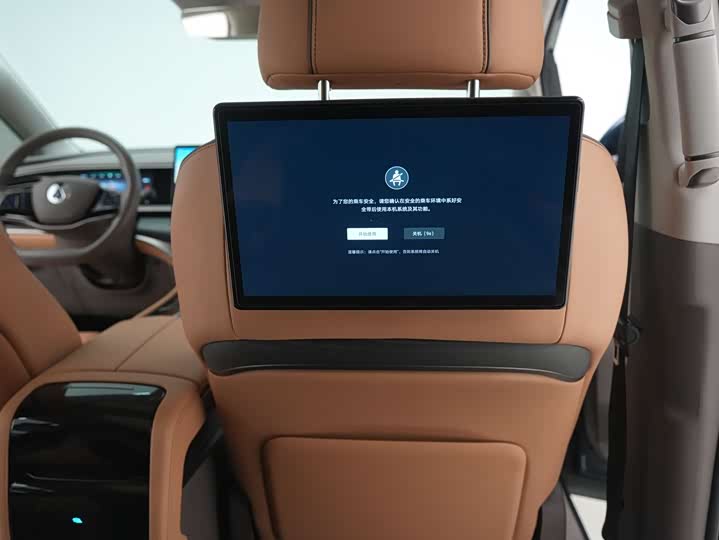 Фото 28 - Denza D9