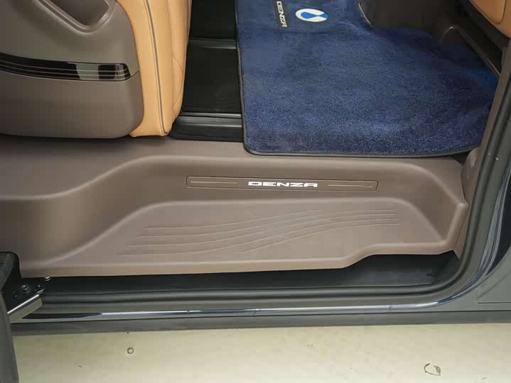 Фото 30 - Denza D9