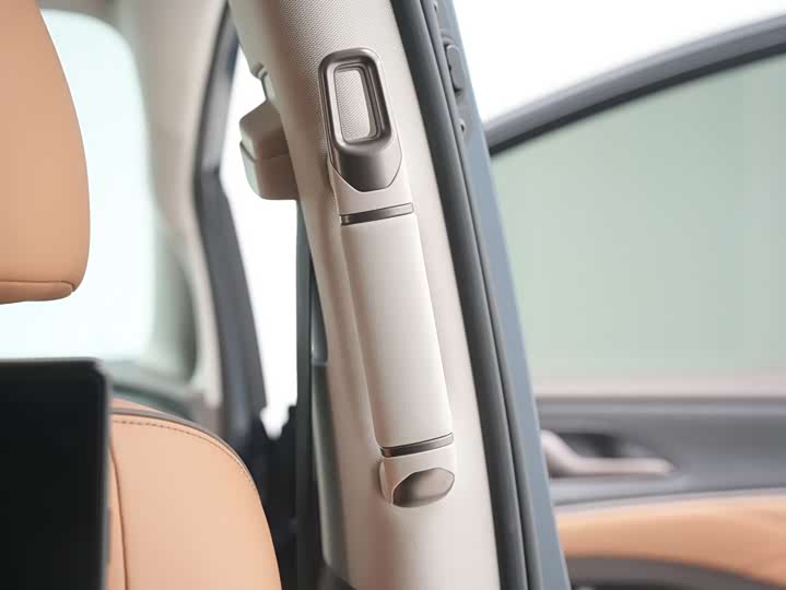 Фото 31 - Denza D9