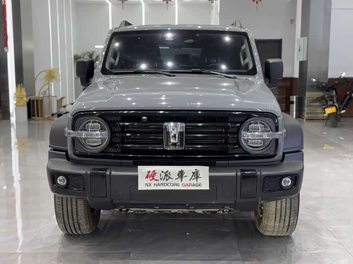 Фото 2 - Tank 300