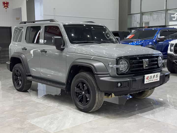 Фото 3 - Tank 300