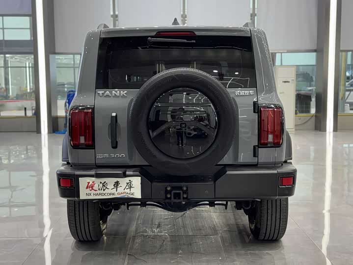 Фото 8 - Tank 300