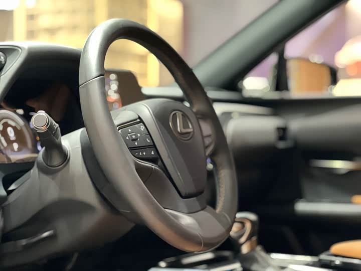 Фото 10 - Lexus UX