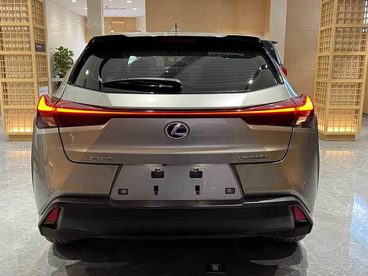 Фото 6 - Lexus UX