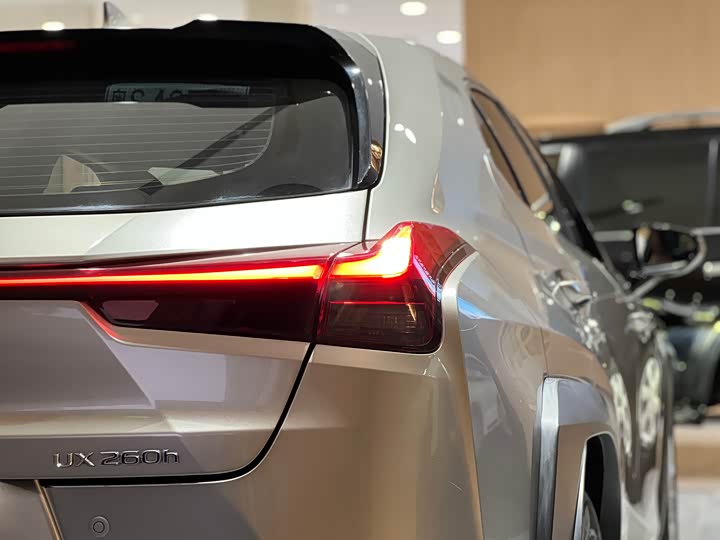 Фото 8 - Lexus UX