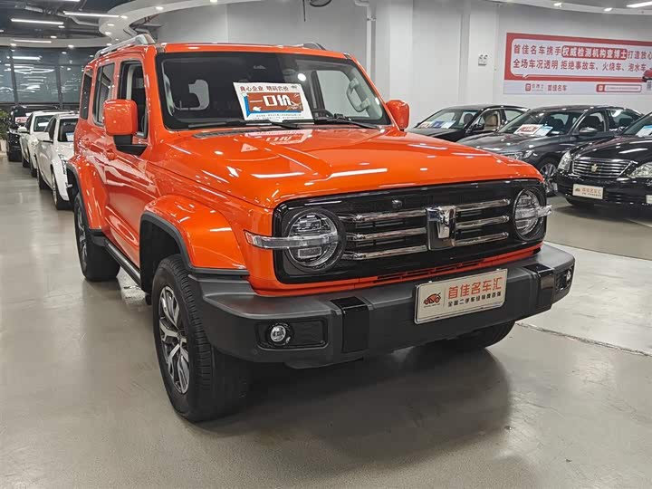 Фото 3 - Tank 300