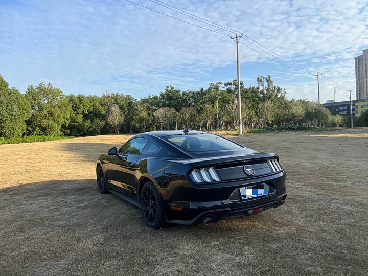 Фото 5 - Ford Mustang