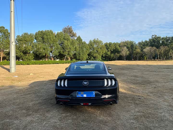 Фото 6 - Ford Mustang