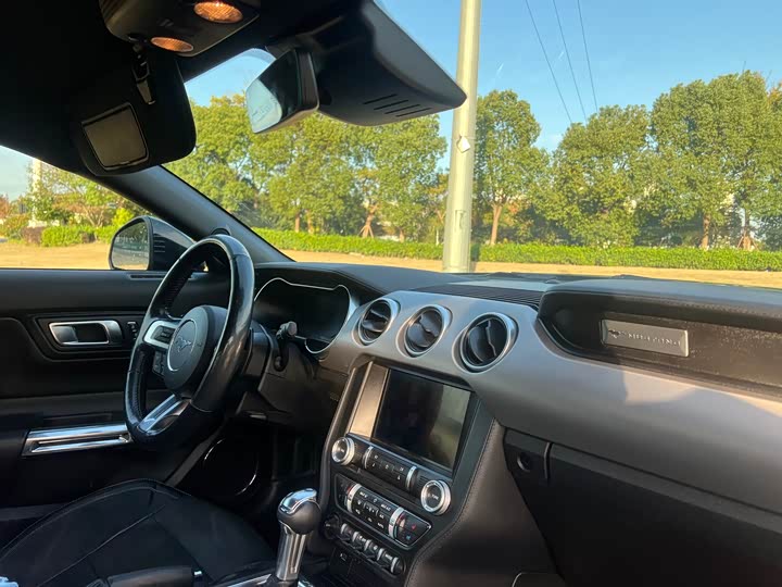 Фото 9 - Ford Mustang