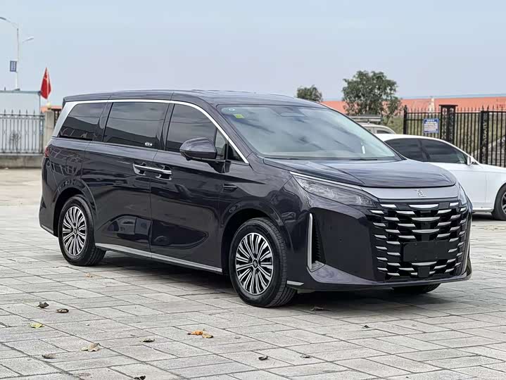 Фото 3 - BYD Xia