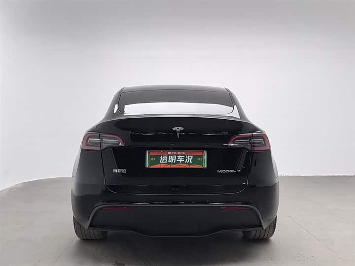 Фото 4 - Tesla Model Y