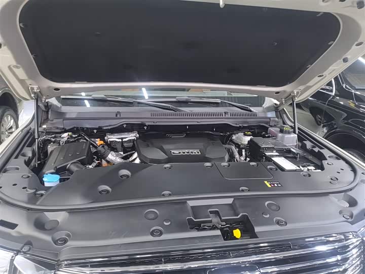 Фото 20 - Tank 500 Hybrid