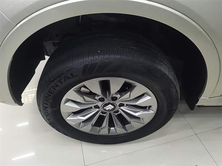 Фото 23 - Tank 500 Hybrid