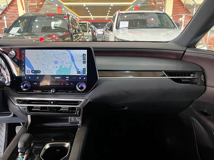 Фото 10 - Lexus RX