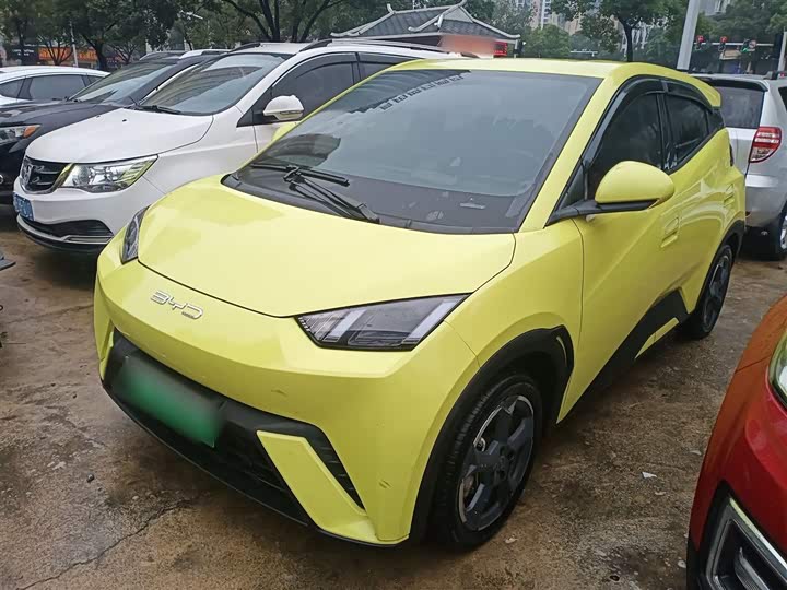 Фото 1 - BYD Seagull