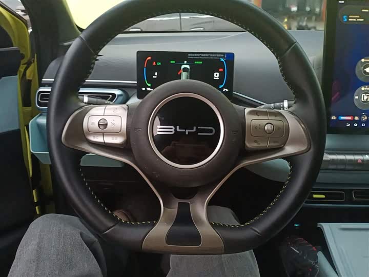 Фото 10 - BYD Seagull