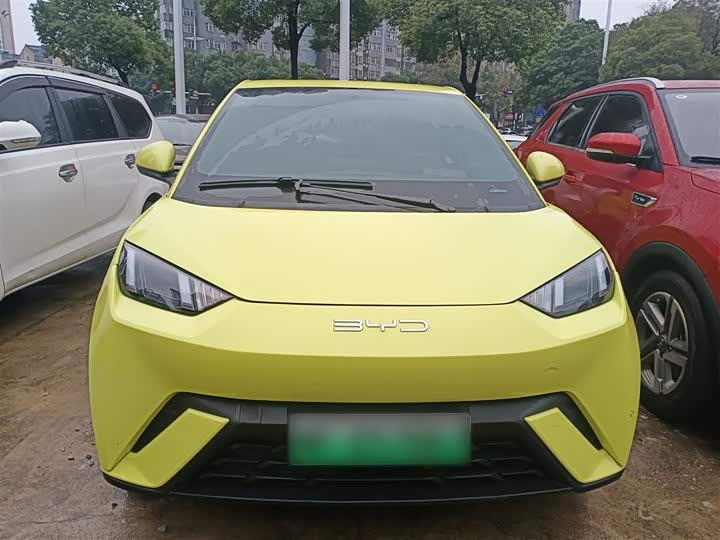 Фото 3 - BYD Seagull