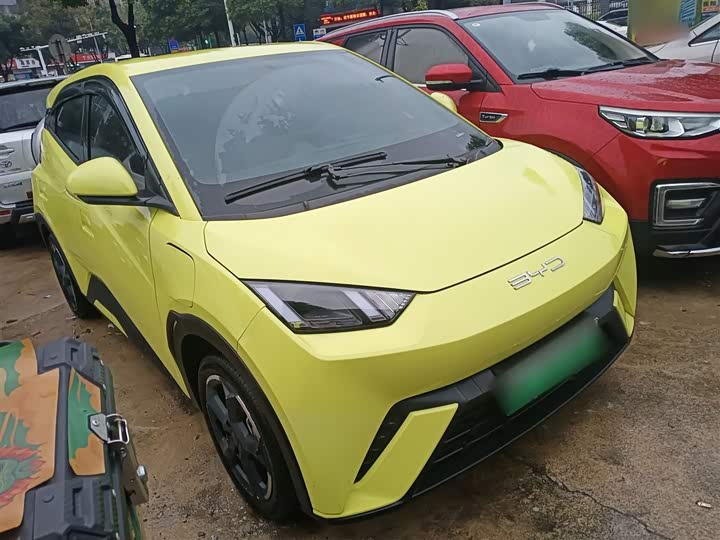 Фото 4 - BYD Seagull