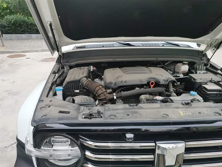 Фото 18 - Tank 300