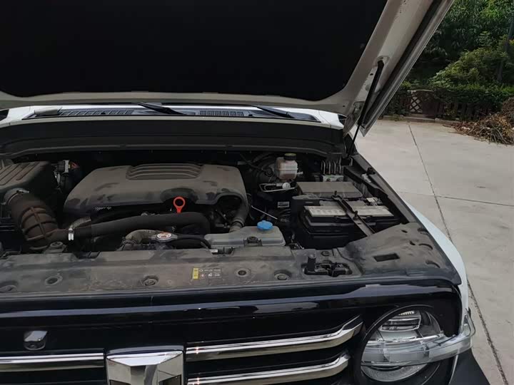 Фото 19 - Tank 300