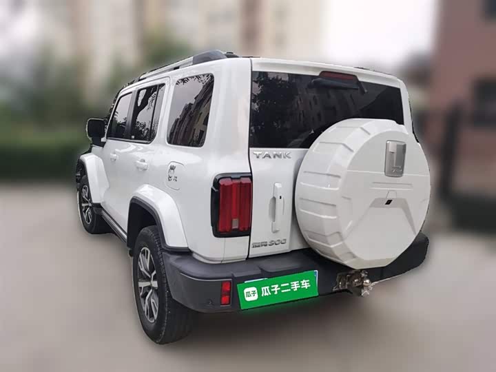 Фото 24 - Tank 300