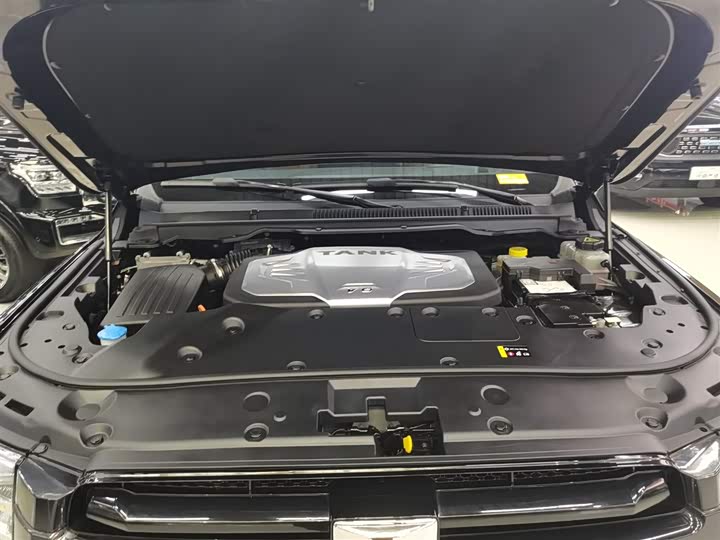 Фото 20 - Tank 500