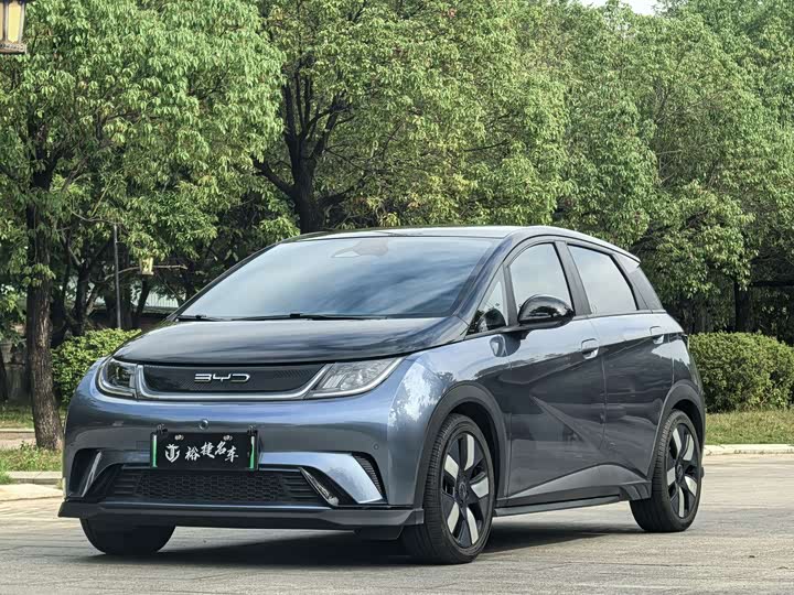 Фото 1 - BYD Dolphin