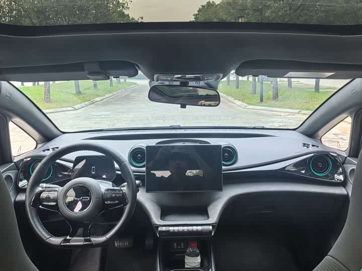 Фото 10 - BYD Dolphin