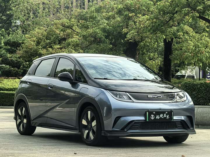 Фото 3 - BYD Dolphin