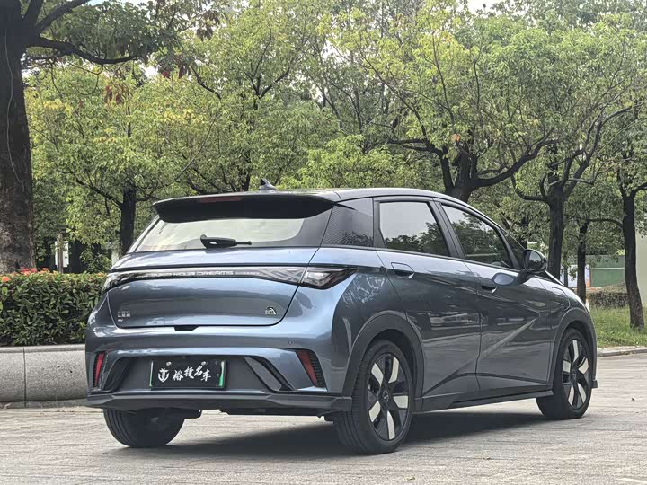 Фото 4 - BYD Dolphin