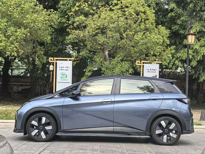 Фото 6 - BYD Dolphin