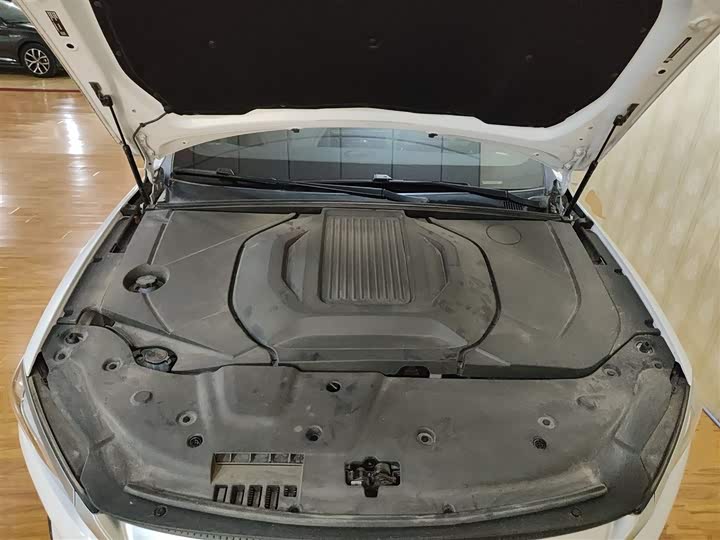 Фото 20 - BYD Qin Plus