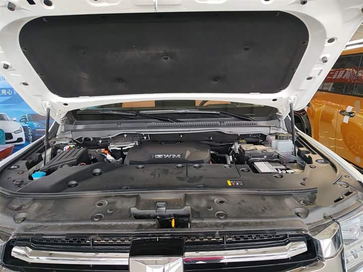 Фото 20 - Tank 500 Hybrid