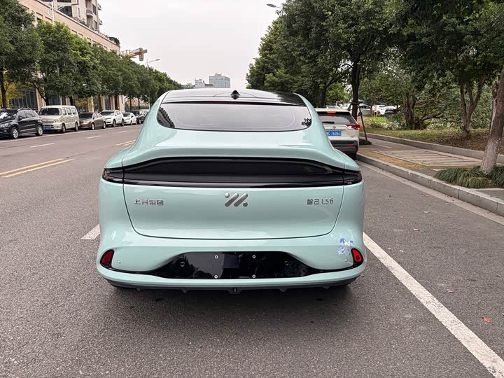 Фото 11 - IM motors LS6