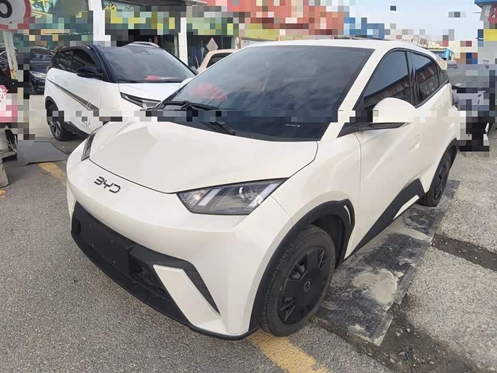 Фото 1 - BYD Seagull