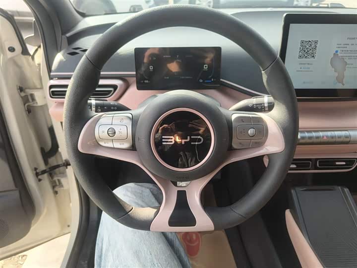 Фото 11 - BYD Seagull