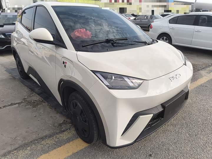 Фото 4 - BYD Seagull