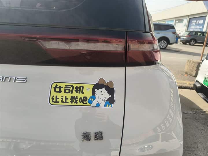 Фото 8 - BYD Seagull