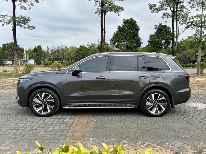 Фото 16 - LiXiang One