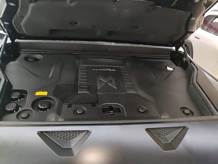 Фото 20 - Dongfeng Mengshi M-Hero 917