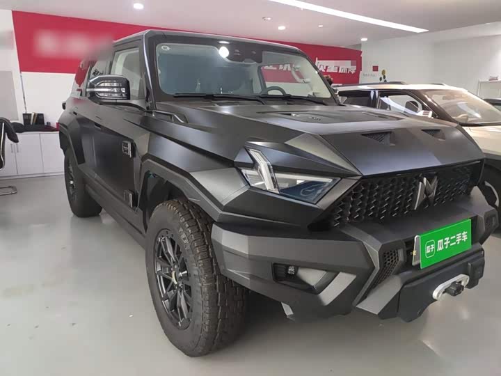 Фото 4 - Dongfeng Mengshi M-Hero 917