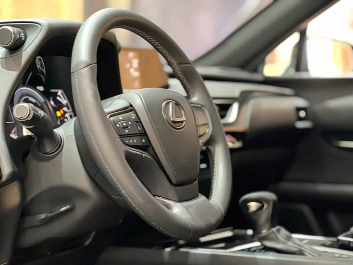 Фото 10 - Lexus UX