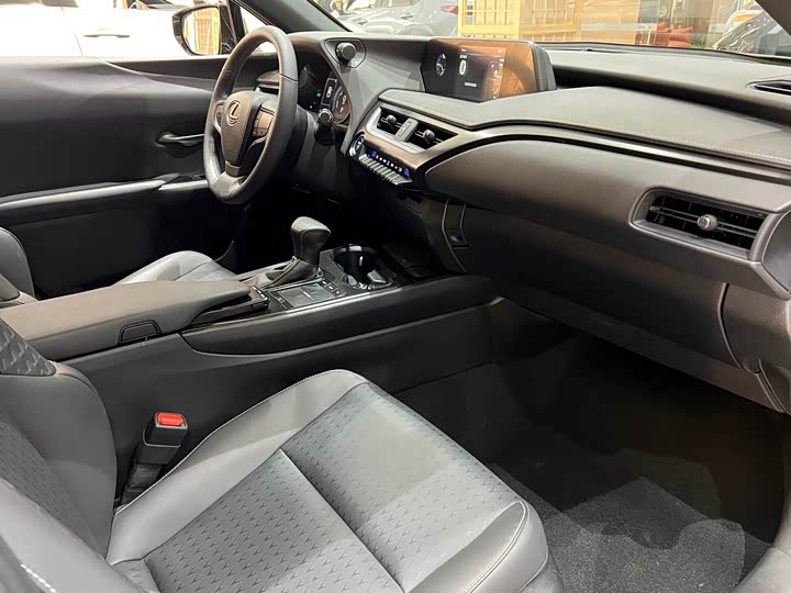 Фото 14 - Lexus UX