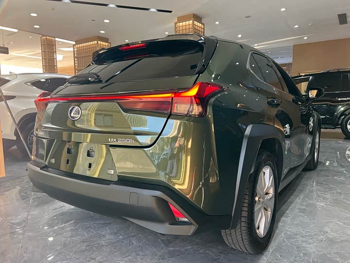 Фото 6 - Lexus UX