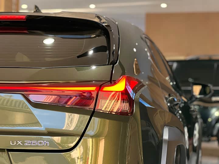 Фото 8 - Lexus UX