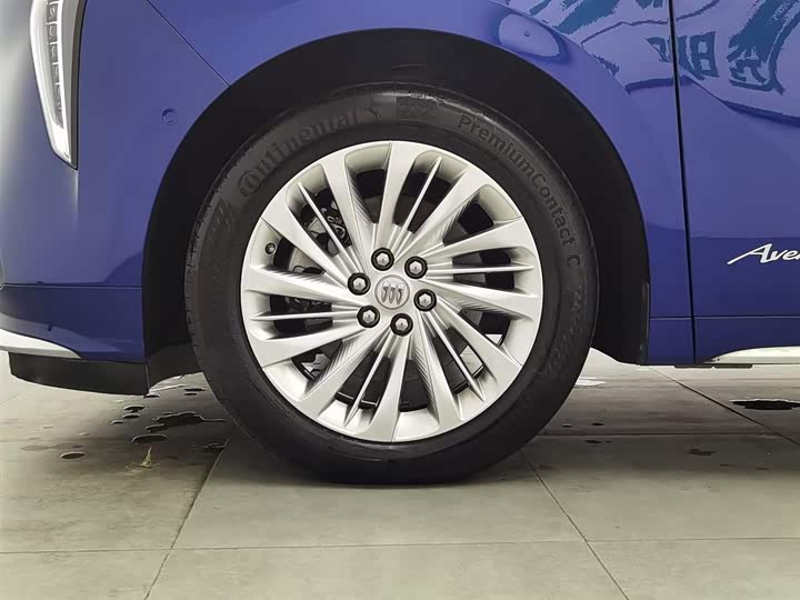 Фото 17 - Buick GL8 Century